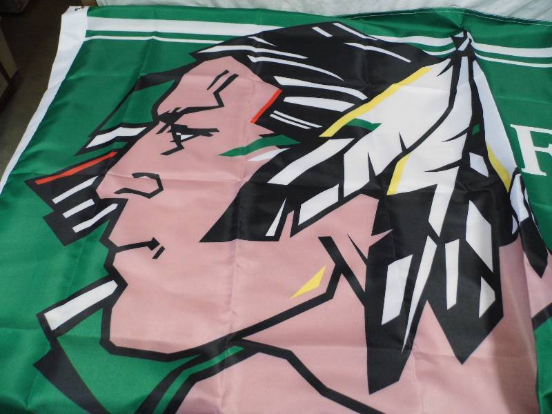 lot 49 image: Fighting Sioux Flag