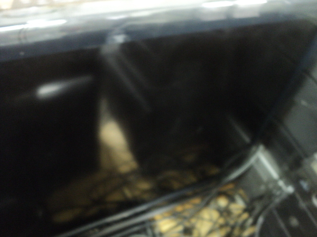 lot 122 image: 40 Sony TV...