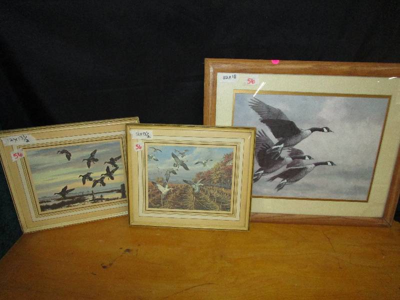 Pictures