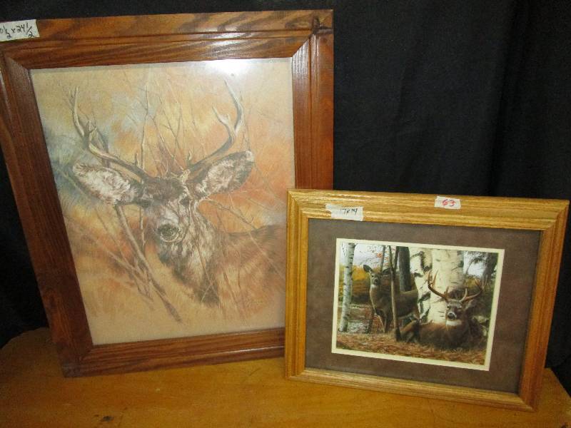 2 Deer Photos