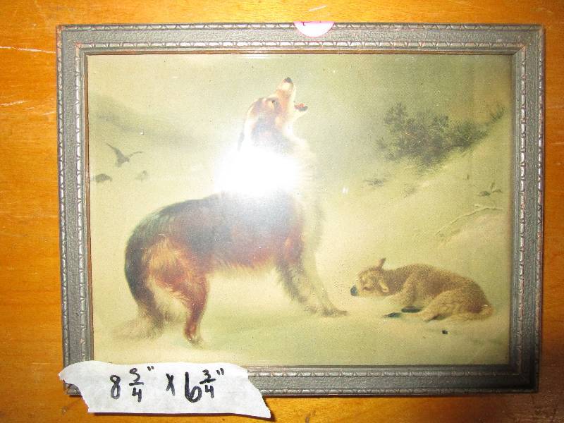 Dog Howling with Sheep Picture