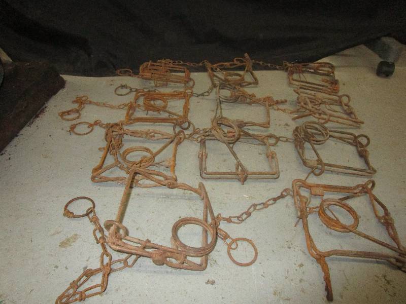 Various Traps