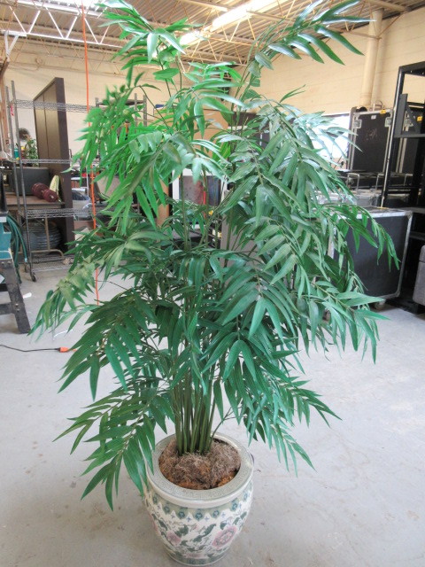 lot 133 image: LARGE SILK TREE IN ASIAN THEMED POT