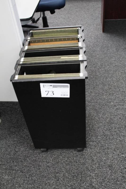 lot 73 image: Rolling File Folder Cabinet