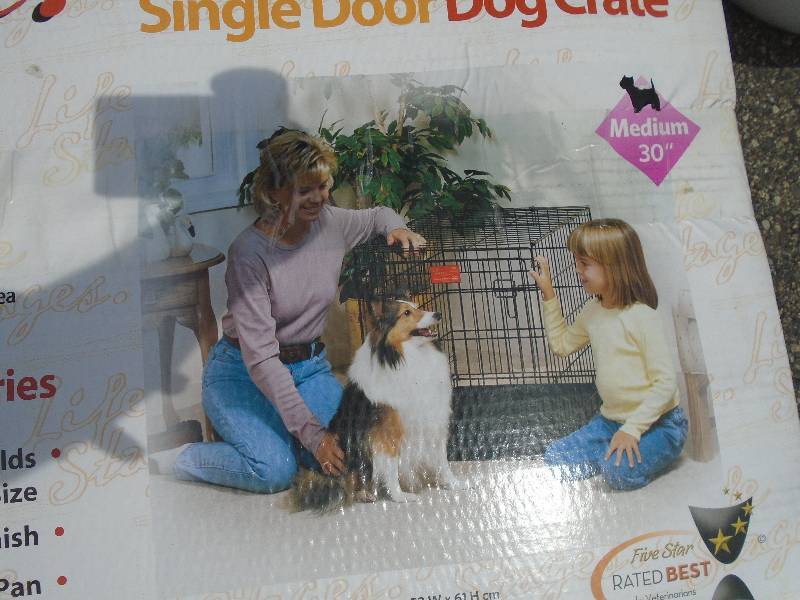 Dog Kennel