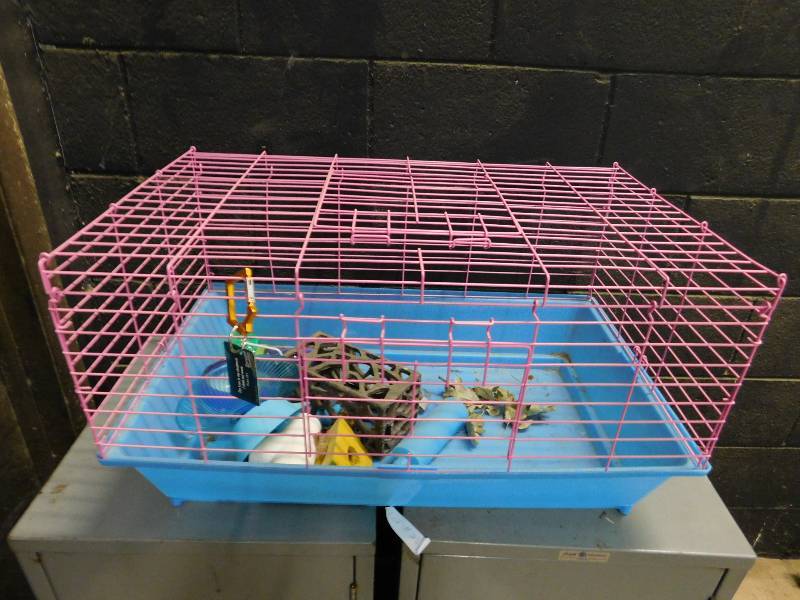 lot 29 image: Gerbil Cage with Accessories