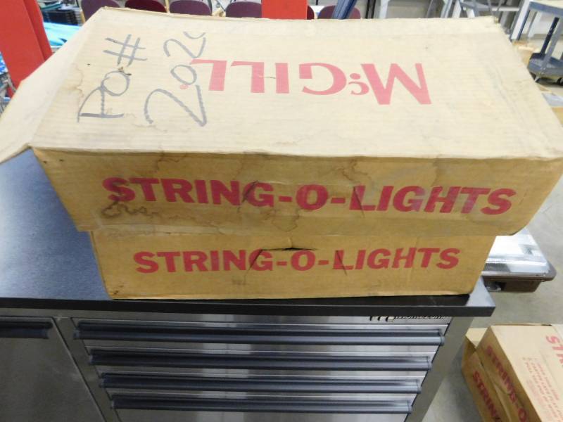 lot 174 image: McGill Temporary Lighting - String O Lights
