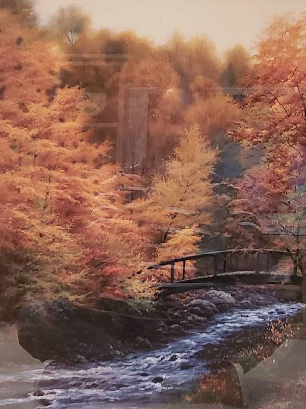 lot 71 image: Charles White Autumn Stream Framed and Matted Print