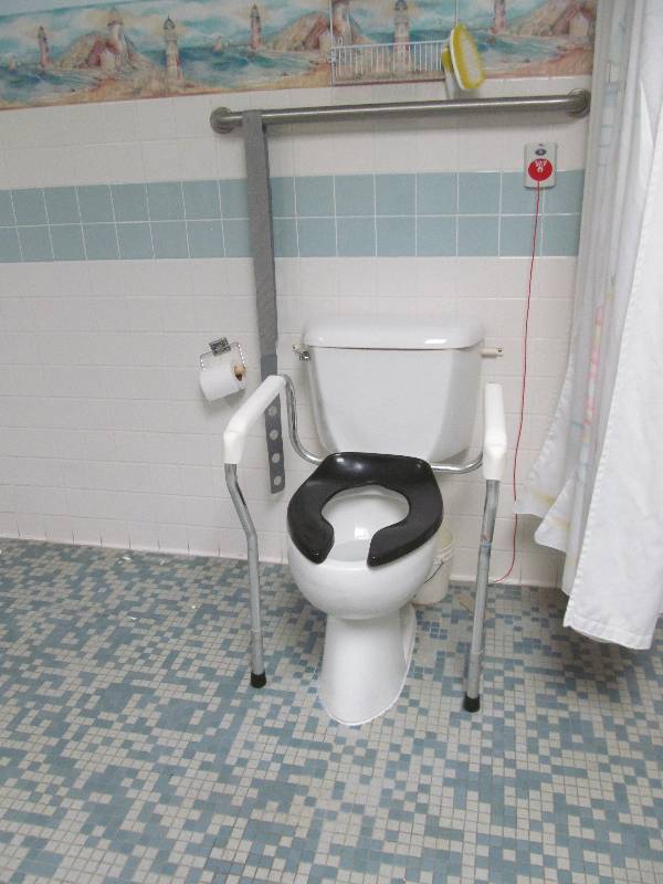 lot 162 image: (Rm 3 Tub Room) Toilet, sink, safety rail, soap and towel dispensers