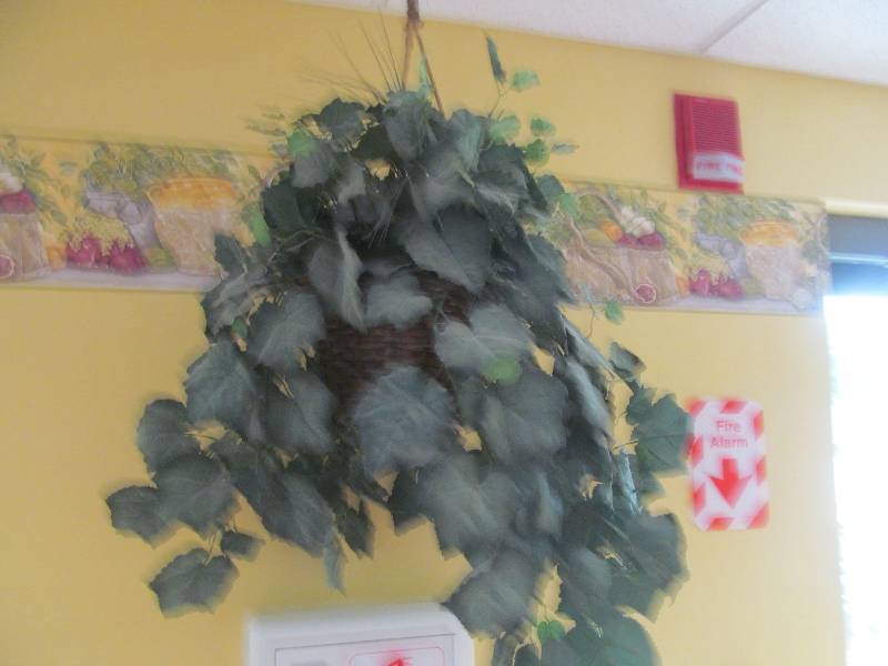 lot 280 image: Dining room-(2) Hanging foliage baskets