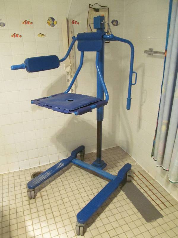 lot 362 image: (Tub 2) Hi Roll Assist ARGO, tub lift chair