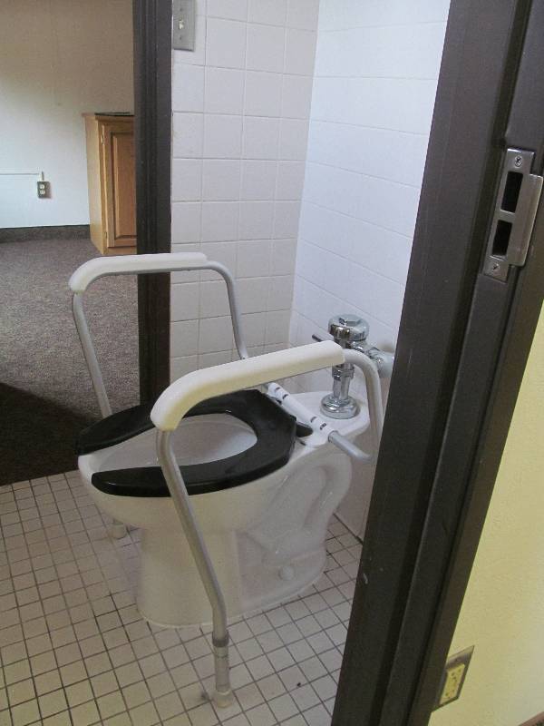 lot 388 image: (Rm 15) toilet, handrail, tissue dispenser
