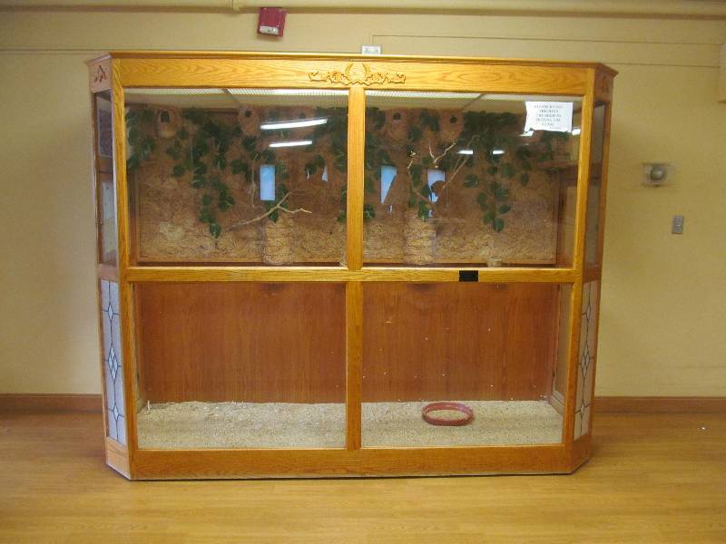 lot 452 image: Cleaning room-Bird Sanctuary on wheels