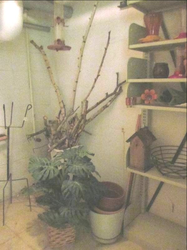 lot 470 image: Office 4- Metal rack with walker parts (24x75x36)
