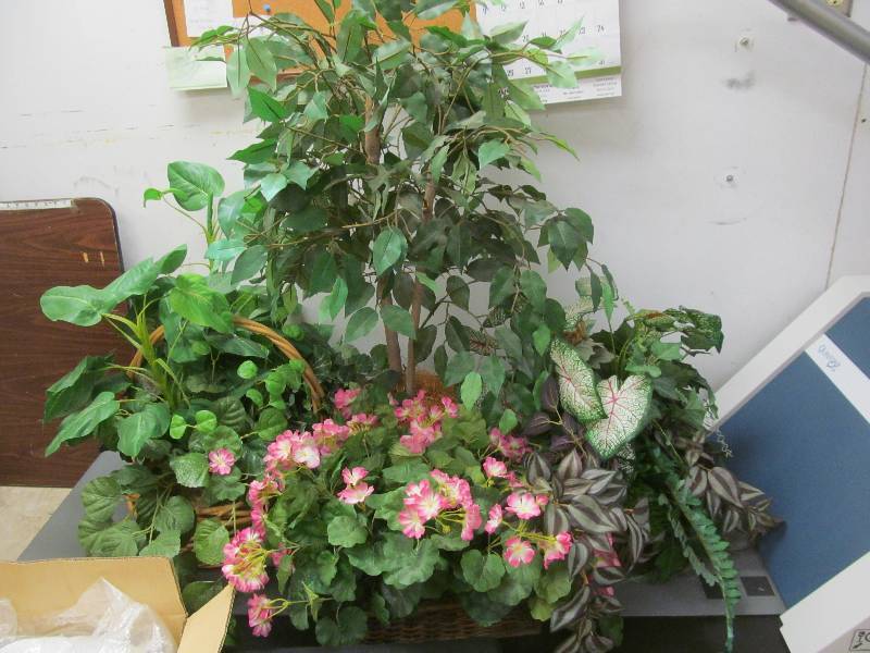 lot 590 image: Basement #2-Foliage in baskets