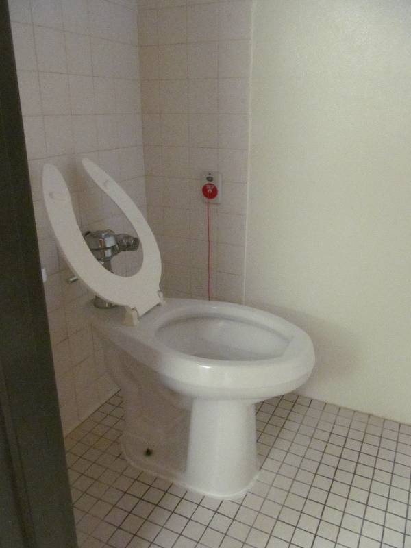 lot 688 image: Rm 12-Bathroom toilet, 2 handrails