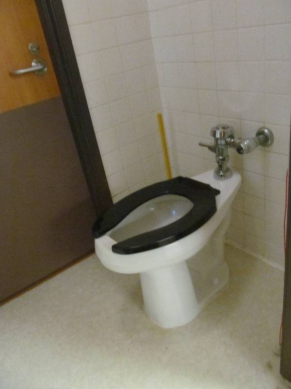 lot 693 image: Rm 11-Bathroom toilet, safety bar, toilet paper dispense