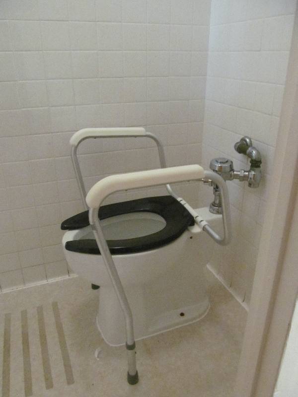lot 736 image: Rm 5-Toilet, handrail, toilet disp.