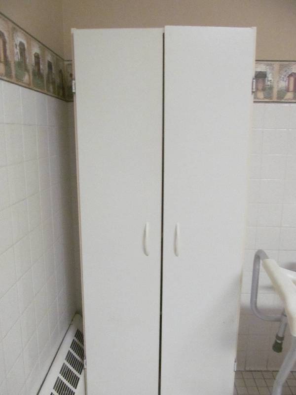 lot 740 image: Tub Room-Cabinet