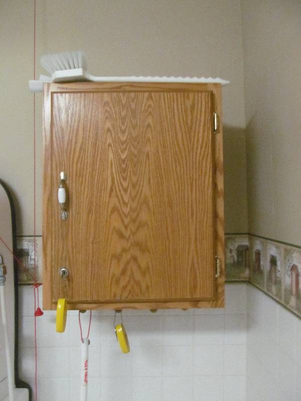lot 742 image: Tub Room- Lockable Wood Cabinet