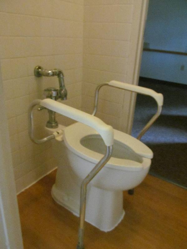 lot 753 image: Room 3- Bathroom toilet, handrail, toilet paper dispenser