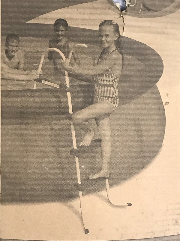 lot 8 image: Intex Swimming Pool Ladder ...