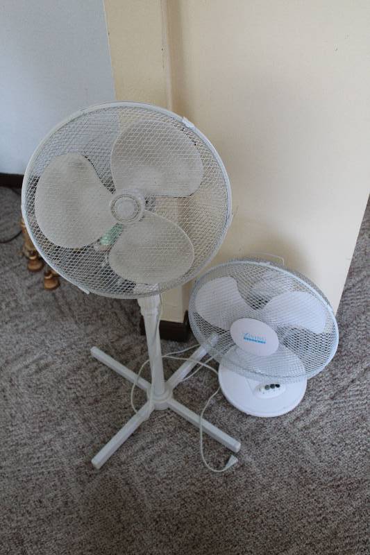 lot 368 image: Lot of (2) Fans - Floor, Table
