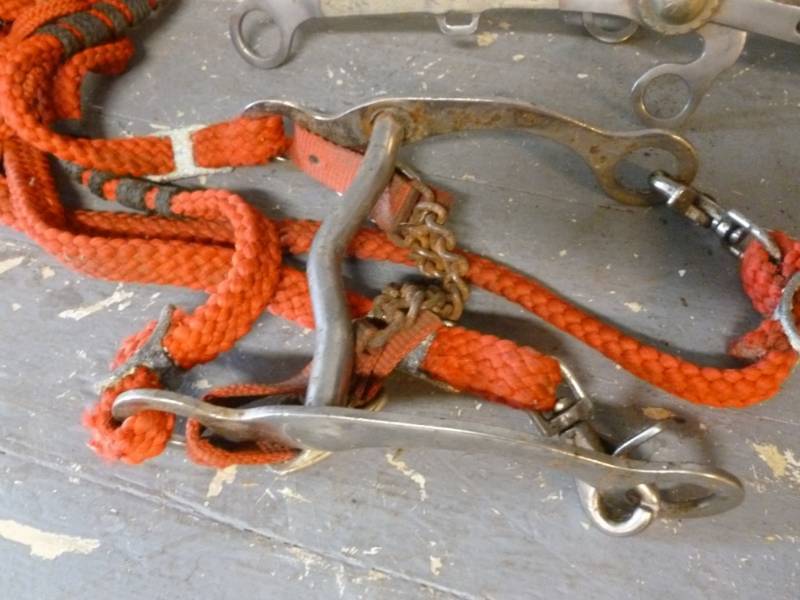 Horse Equipment