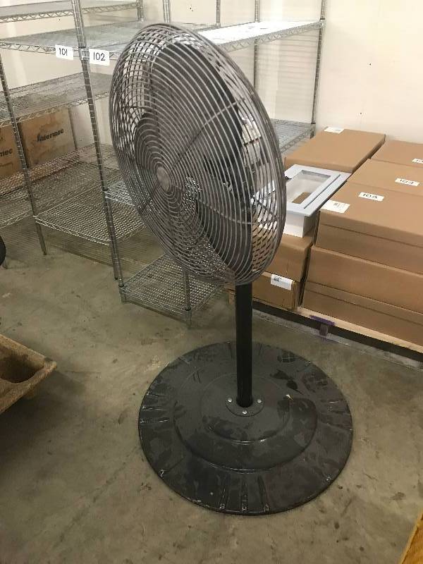 PEDESTAL FAN
