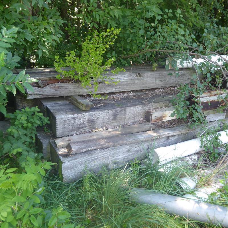 lot 10 image: Large Yellow Southern Pine Railroad Timbers Lot