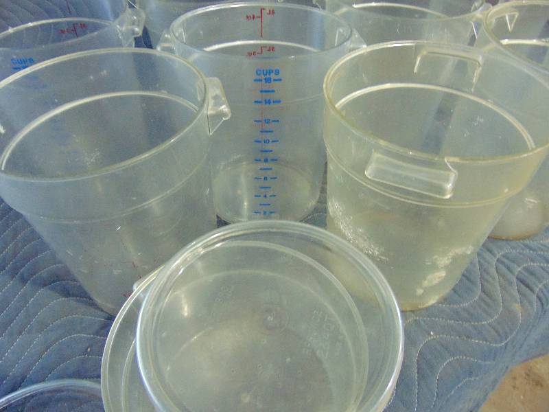 lot 54 image: (11) Food Containers