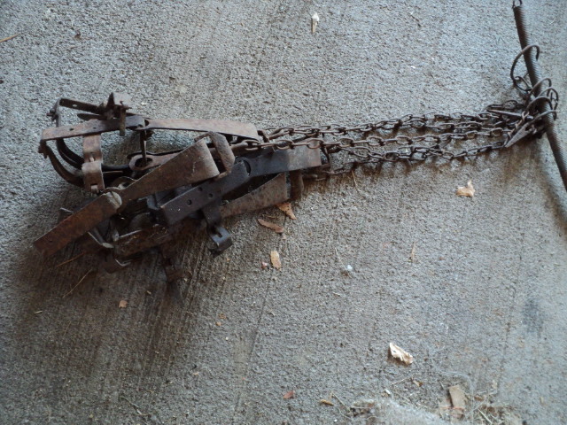 lot 118 image: 5 traps...