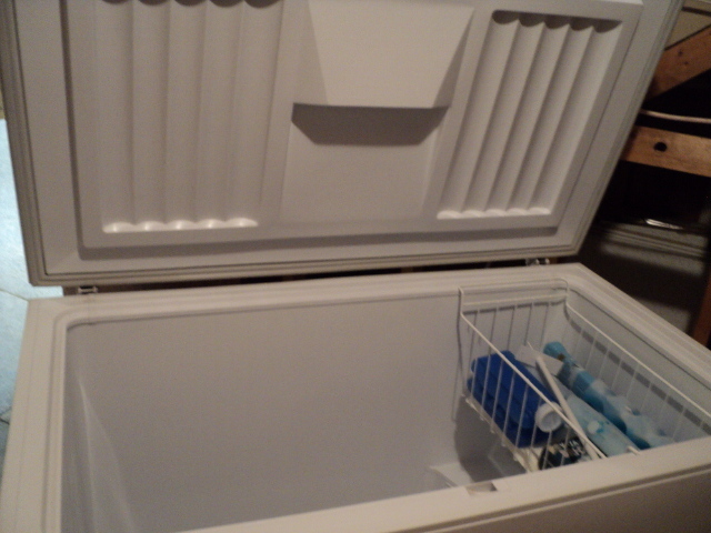 lot 285 image: Roper Chest Freezer, 27 x 46 inch t...