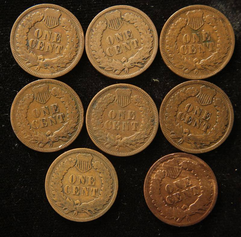 lot 40 image: 8 INDIAN HEAD CENTS DATED 1900-1907