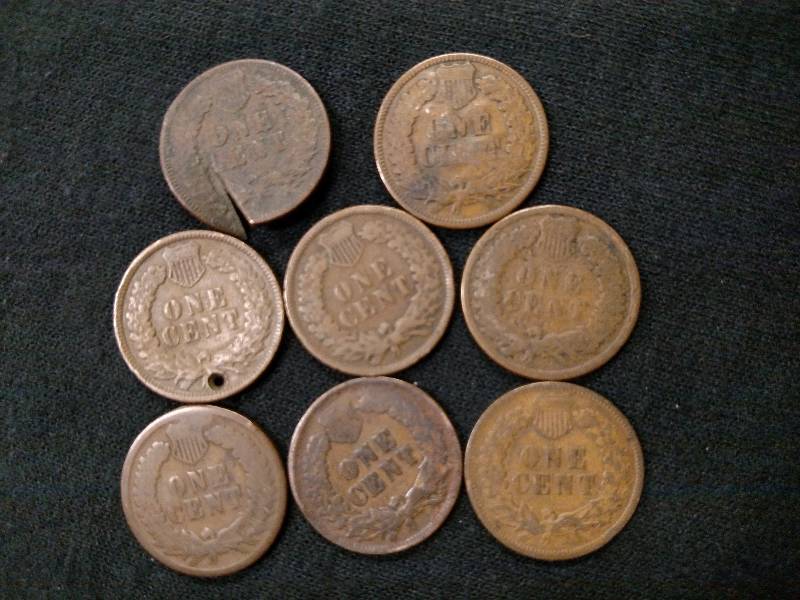 (8) Indian Head Pennies...
