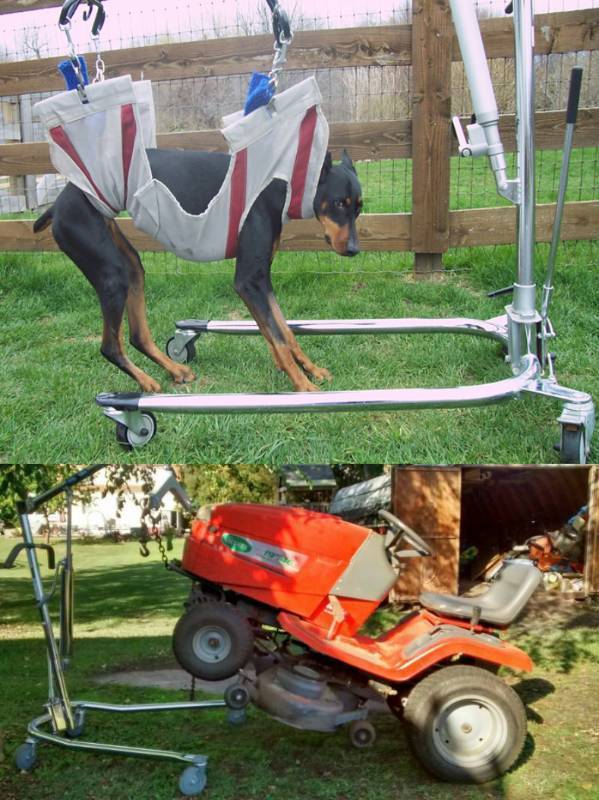 lot 1 image: Medical Mobile Hoyer Haudraulic Patient Lift Hydraulic Bedside Hoist On Wheels Includes New In Package Large Size Sling - Many Uses For This Lift - Mechanics, Veterinary Clinics, Etc.