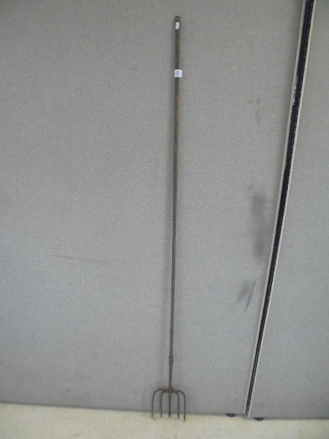 Fishing Spear