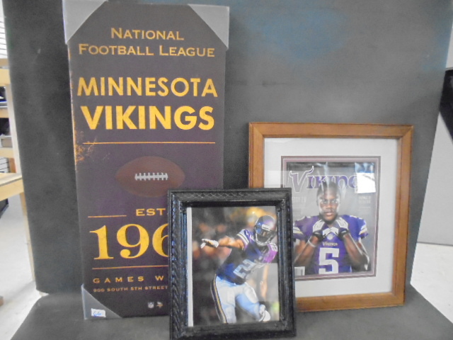Minnesota Vikings Memorabia