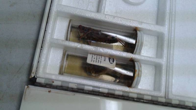 lot 44 image: Vintage Skil Craft Biology Case Set, Used, Lots Of Wear, Missing Pieces