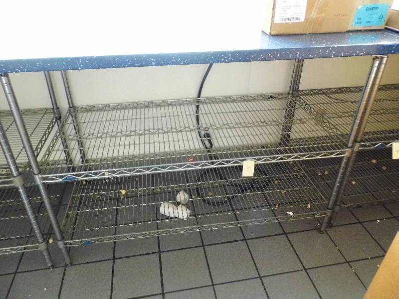 lot 39 image: Stainless Steel Shelf - Racking