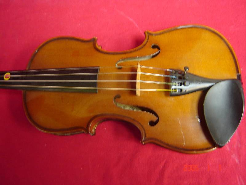 violin