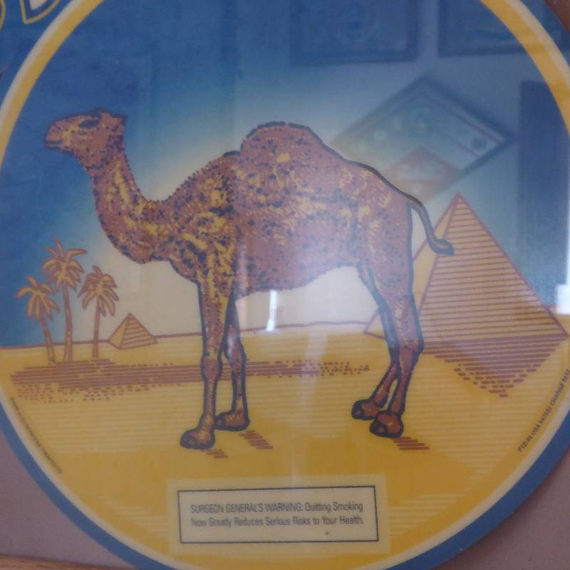 lot 52 image: Camel Display Framed Sign