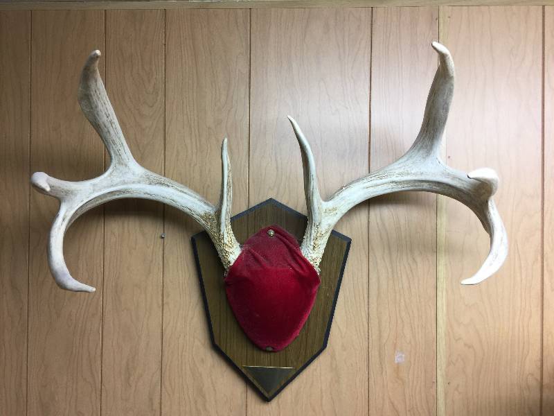 Antlers