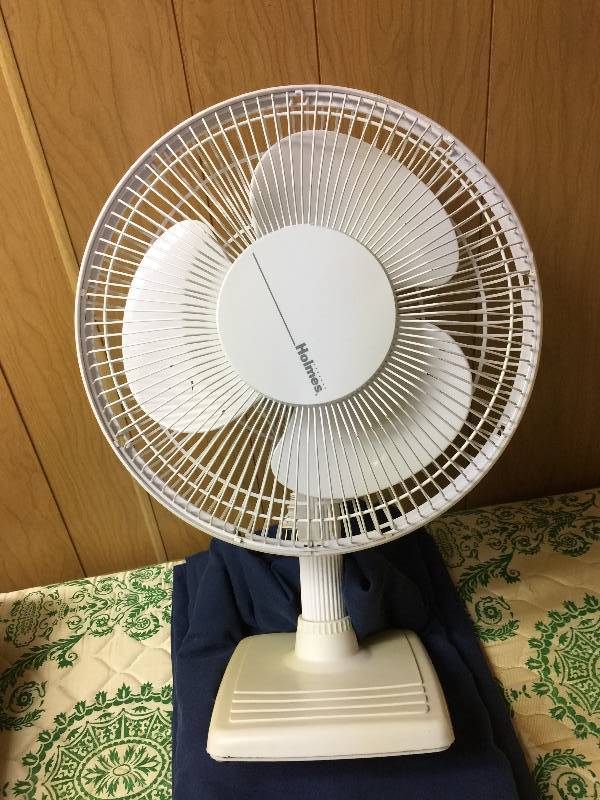 Fan
