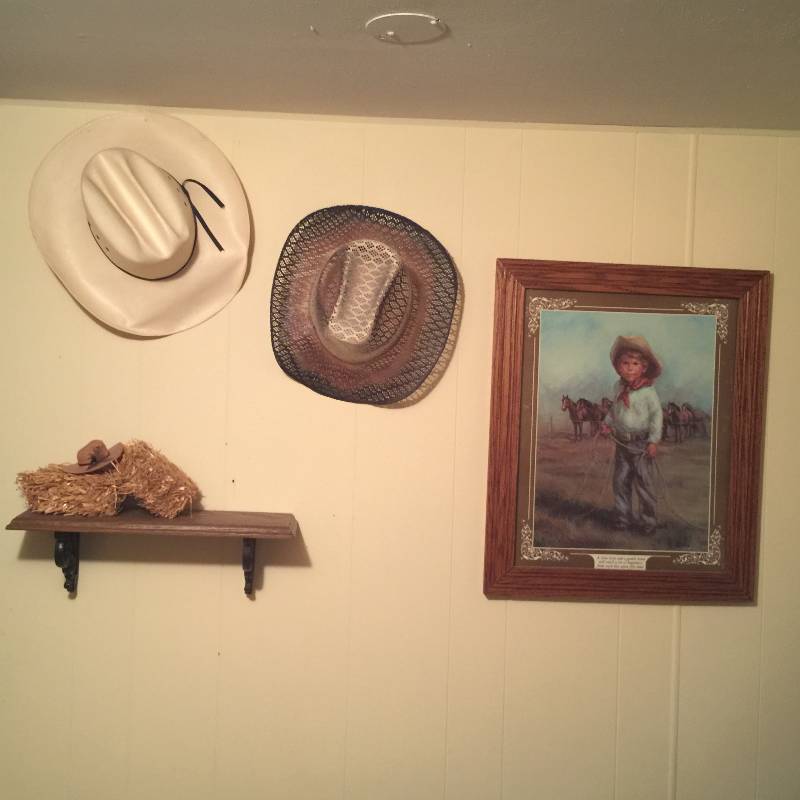 Western Decor