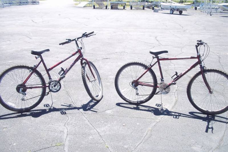 lot 227 image: Pair of 18 Speed Bikes. His & Hers