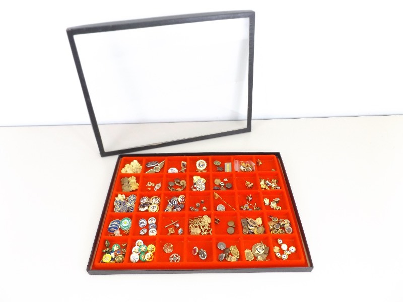 lot 22 image: NOT your Average Pins Collection in Glass Covered Case