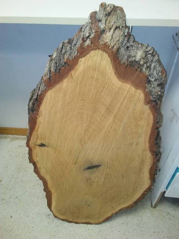 lot 196 image: Cross cut tree slab, 2.5 inch x 38 x 20