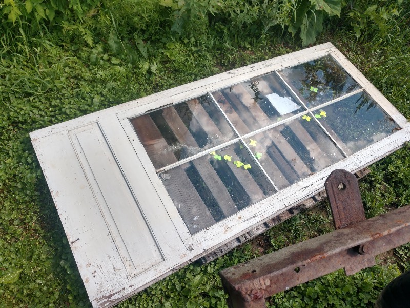 lot 157 image: Salvaged Shabby Chic Panel Door w Glass