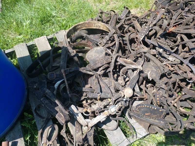 lot 160 image: Lot of Horse Leather Bridles